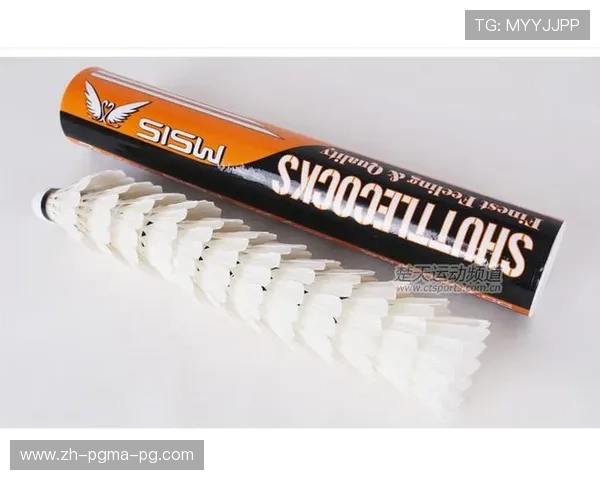 羽毛球球头是什么